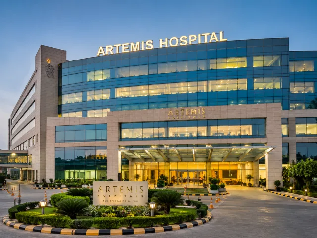 Foto yang mewakili Artemis Hospital