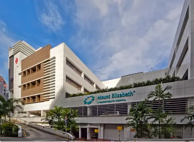 Larawang kumakatawan sa Mount Elizabeth Hospital