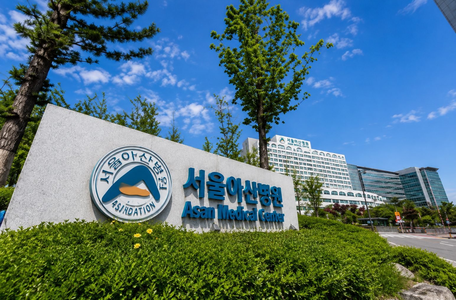 Asan Medical Center, Seoul