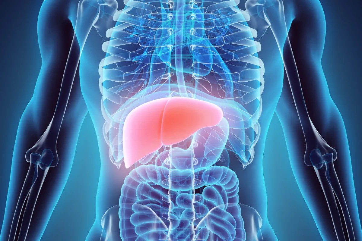 LIVER TRANSPLANT